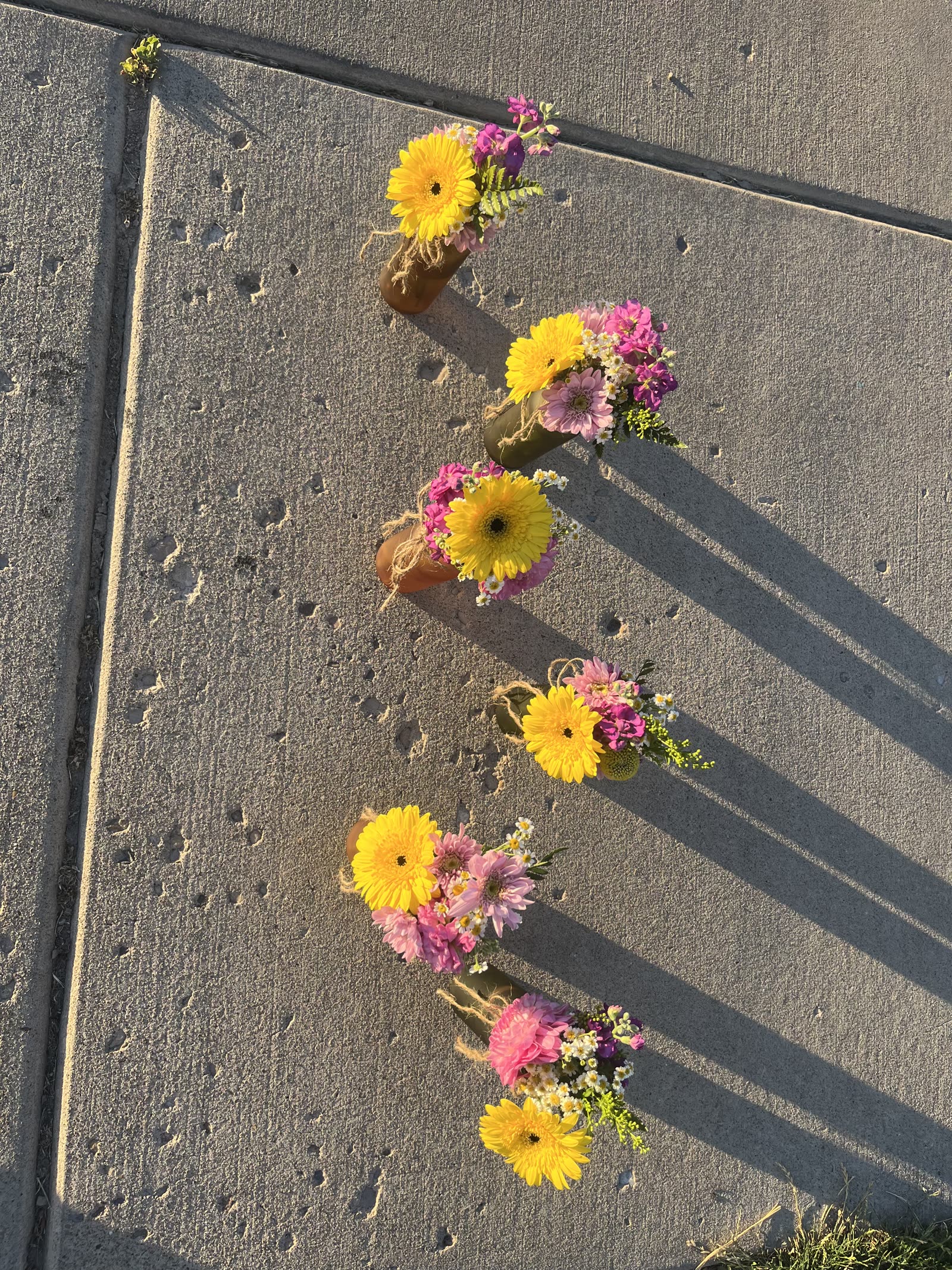 Row of mini sunflower and pink daisy arrangements